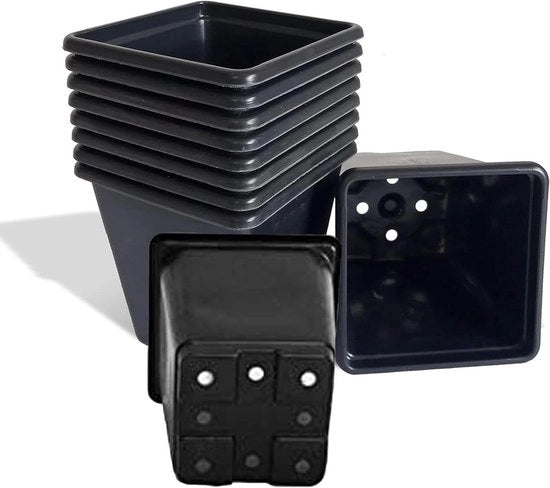 Vasi di plastica neri quadrati da 9cm (Lotto da 10) - Ideali per piante perenni e erbe