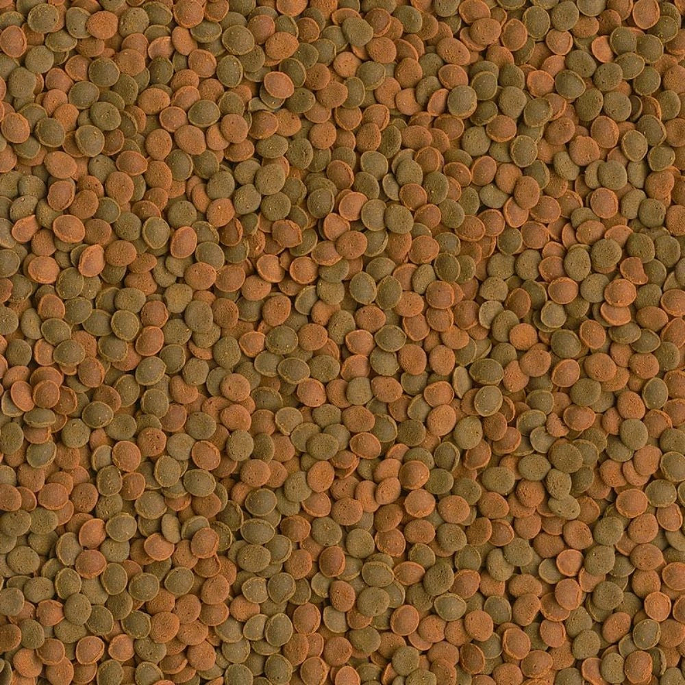 Tetra Wafermix Formato: 1000 ml