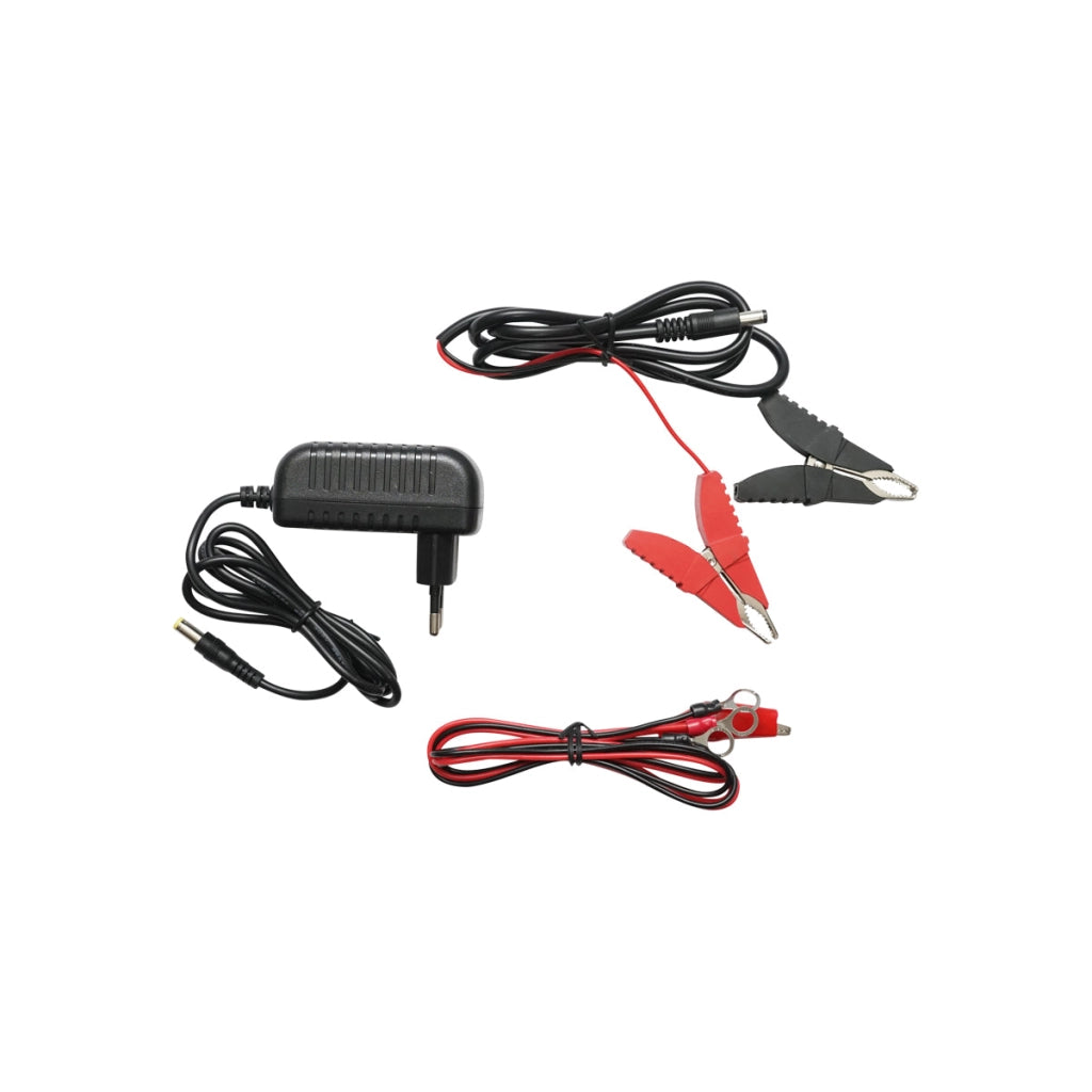 Elettrificatore per recinto elettrico 12V - 220V 3 Joule 25 km con messa a terra per recinzione elettrica BRECKNER GERMANY