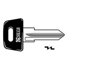 chiavi zadi per moto piaggio zd17rap - zd17rap cod:ferx.fer79716