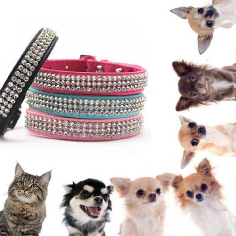 Trade Shop - Collare Con Strass Per Cani Cane Gatti Animali Pet Brillantini Colori Assortiti -