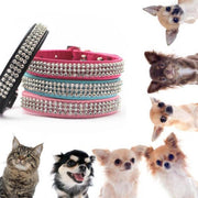 Trade Shop - Collare Con Strass Per Cani Cane Gatti Animali Pet Brillantini Colori Assortiti -