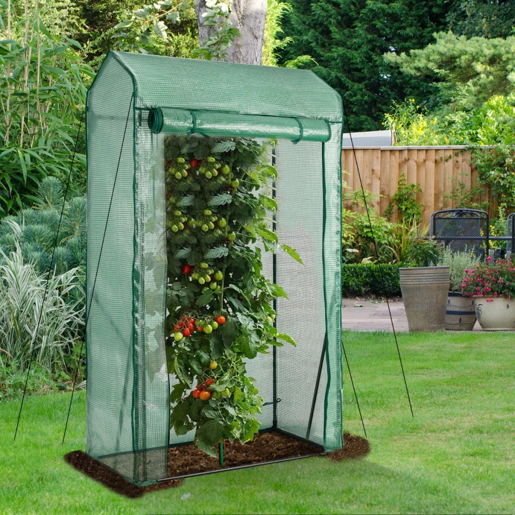 Serra da giardino accessibile con struttura in acciaio, Serra portatile con porta a cerniera copertura PE Verde-Serre da giardino