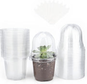 Collezione Plus - 32 confezioni piccole vasi in plastica con coperchio a cupola - per semi e piantine - inclusi 10 stuzzadini per piante