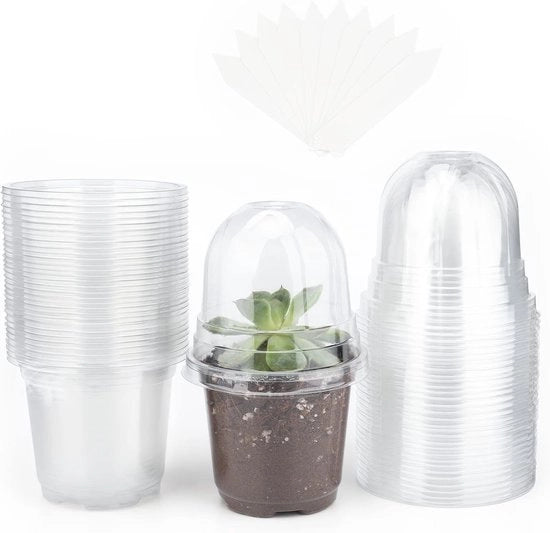 Collezione Plus - 32 confezioni piccole vasi in plastica con coperchio a cupola - per semi e piantine - inclusi 10 stuzzadini per piante