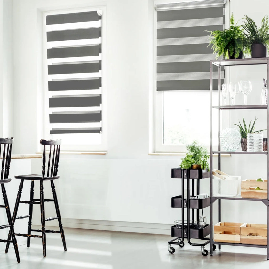 IDMarket - Set di 2 tende a rullo, giorno e notte, 55x170 cm, grigio
