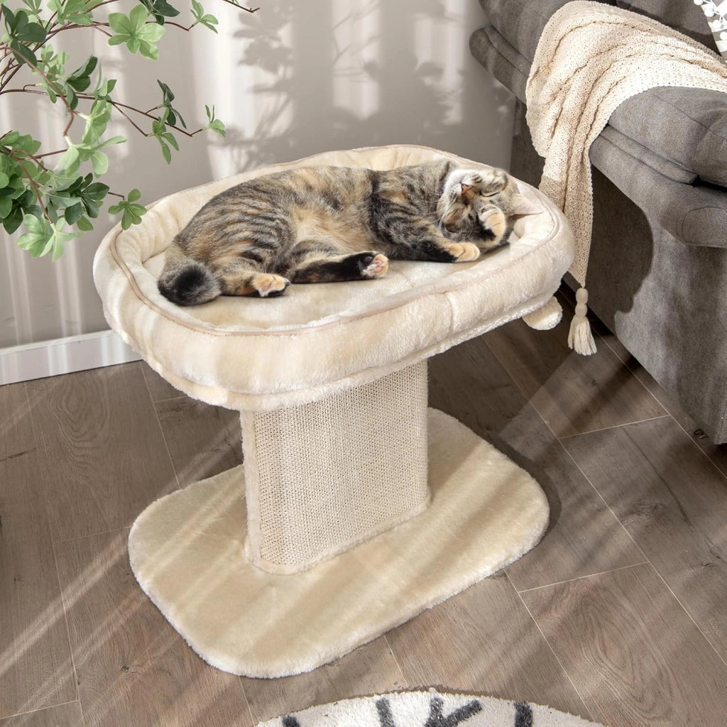 Tiragraffi piccolo, altezza 50 cm, tiragraffi per gatti con seduta in peluche e colonna in sisal e palla, albero da arrampicata in legno stabile, per gatti