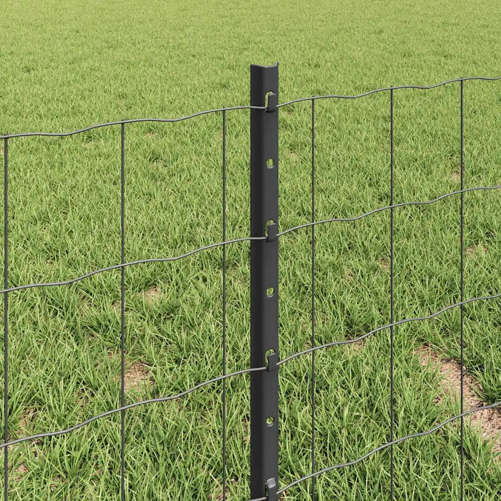 Recinzione da Giardino | Recinzione con Posto Grigio