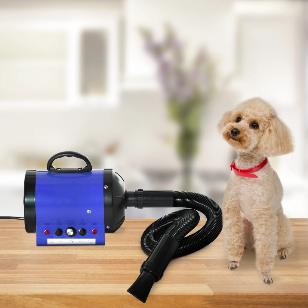 Asciugatore per Cani e Gatti Professionale ¨C Zephmum ¨C 2800W, Blu, con 3 Buse