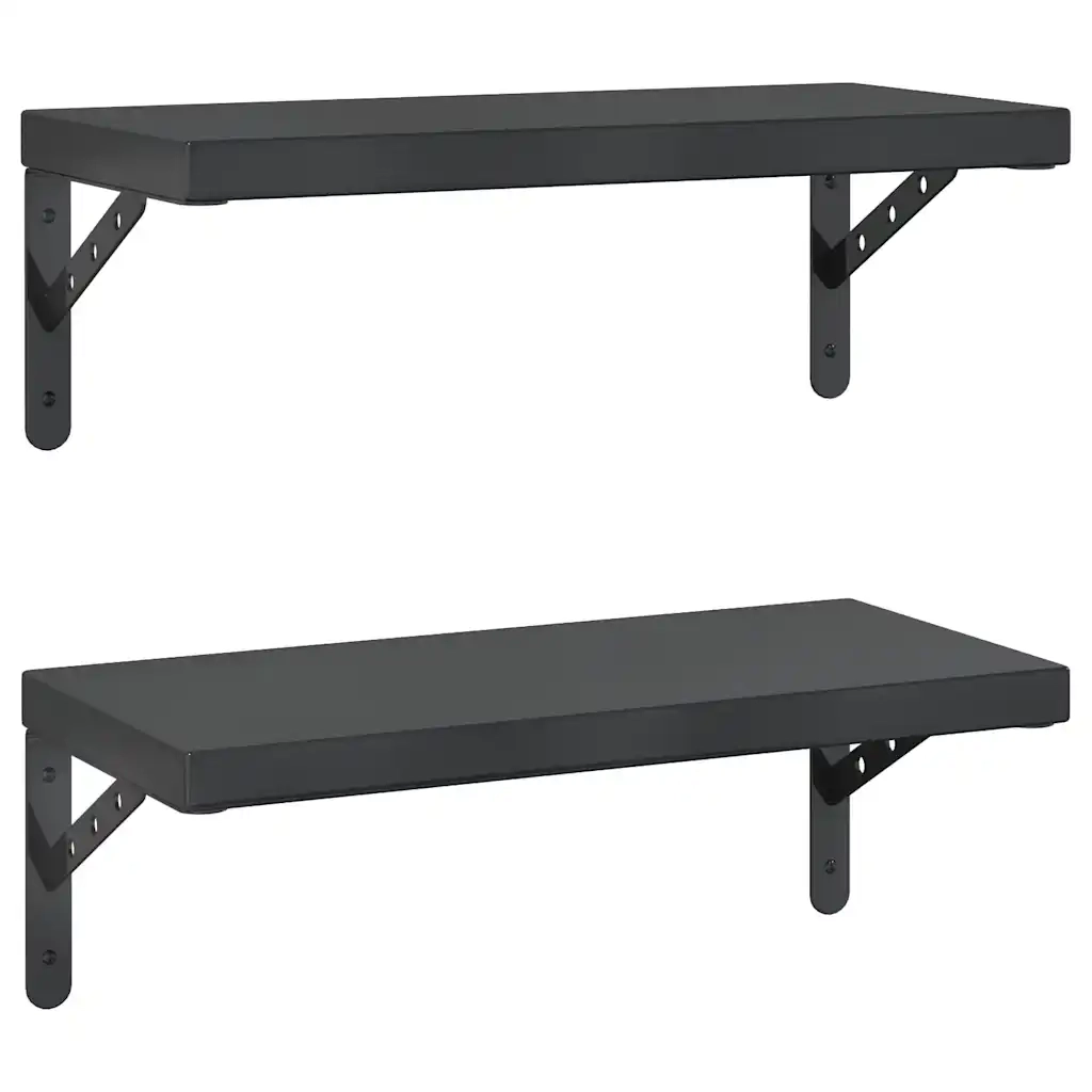 Mensole a Muro 2 pz-Set di 2 Scaffale a parete 50x23,5 cm Nero in Acciaio Inossidabile