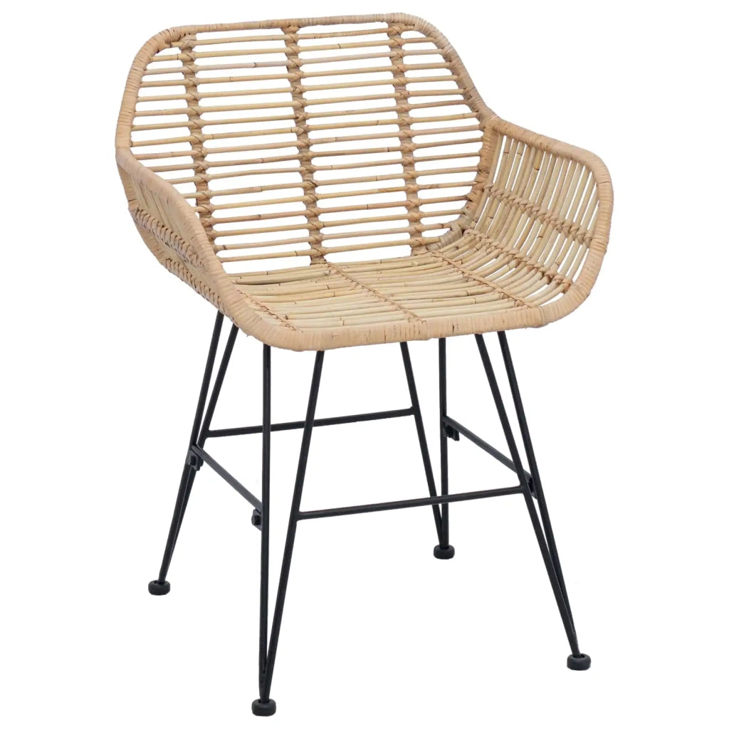 Sedia da pranzo 2 pcs Rattan e Ferro Naturale 55 x 50 x 74 cm
