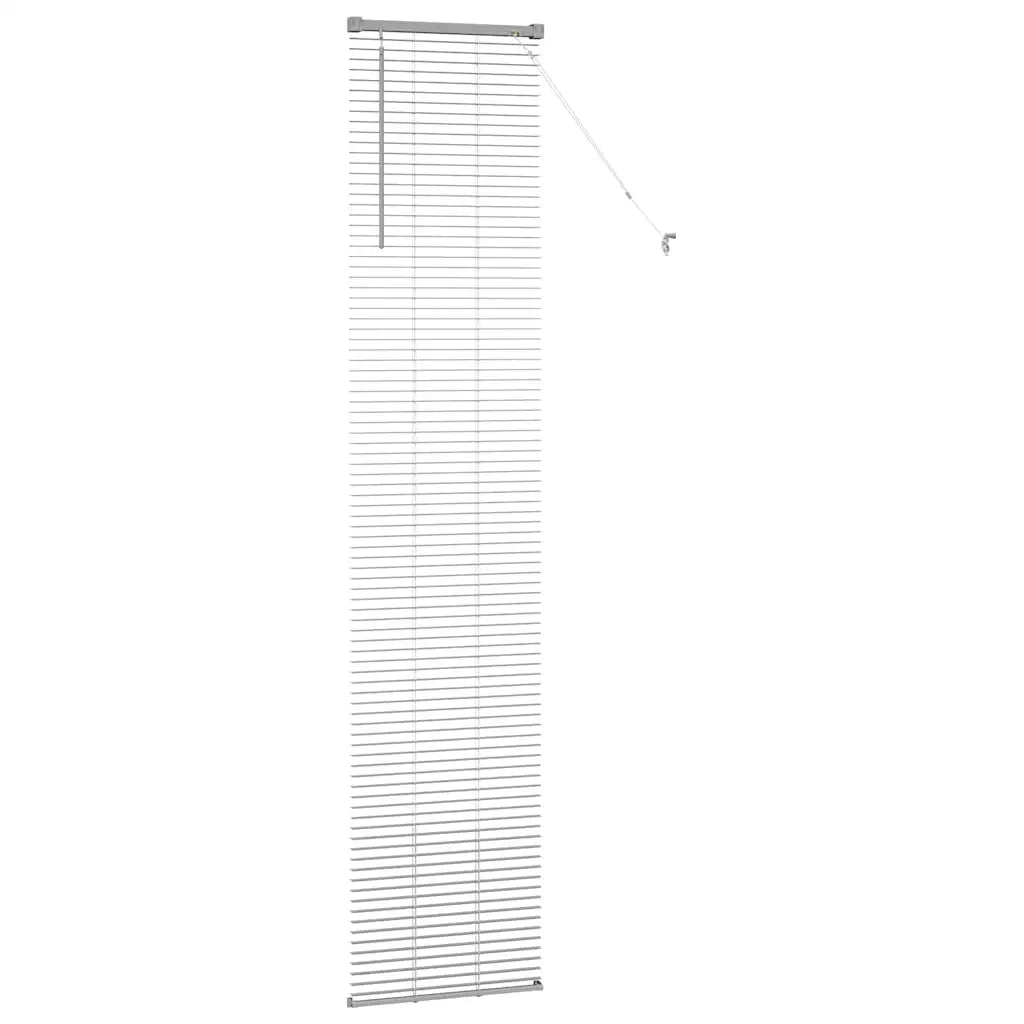 Tendaggi a Veneziana | Tenda a lamelle Argento 220 x 45 cm Alluminio