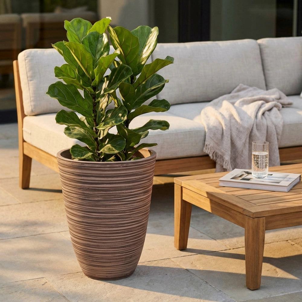VASO GRANDE ANEMONE