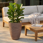 VASO GRANDE ANEMONE