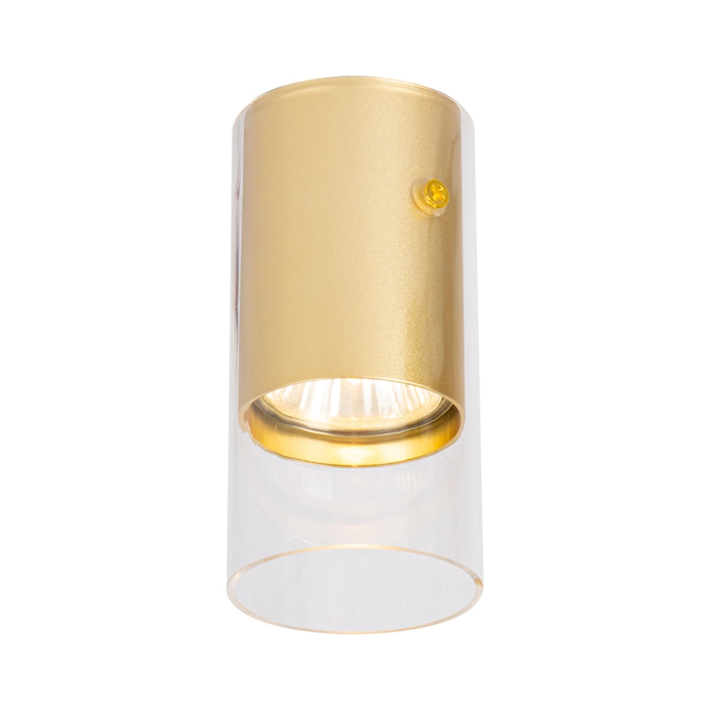 Faretto da soffitto rotondo dorato 1xGU10 10W Ricky