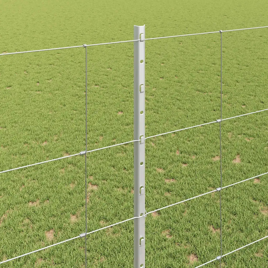 Recinzione da Giardino | Recinzione con Posto Argento