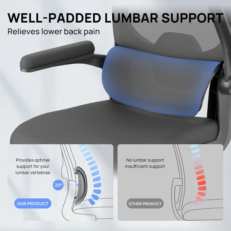 Sedia da ufficio ergonomica - Poltrona HAMLODY - con braccioli pieghevoli a 90° - Supporto lombare - Regolabile in altezza Nero
