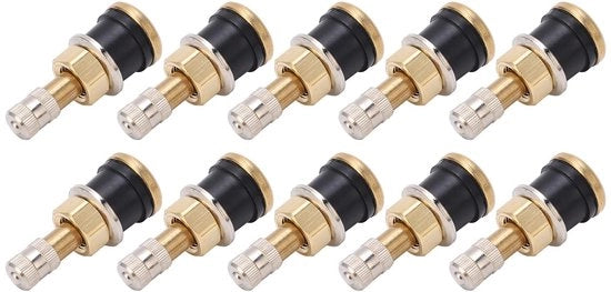 TR501 Acciaio a Viti 10 Pezzi TR501 Acciaio a Viti per Pneumatici Tubolari di Camion, Alta Resistenza e Fori in Gomma di 0,625 Pollici, Pneumatico Duraturo in Acciaio, Opzioni di Colore Disponibili