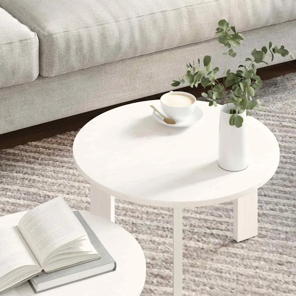 vidaXL Tavolino da salotto 2 pcs Bianco 47.5 x 47.5 x 27 cm