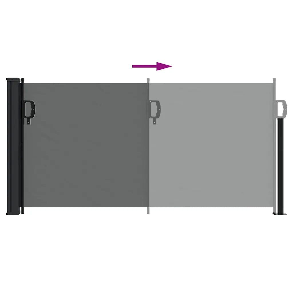 Tenda da sole laterale retrattile antracite 100x500 cm 4004398