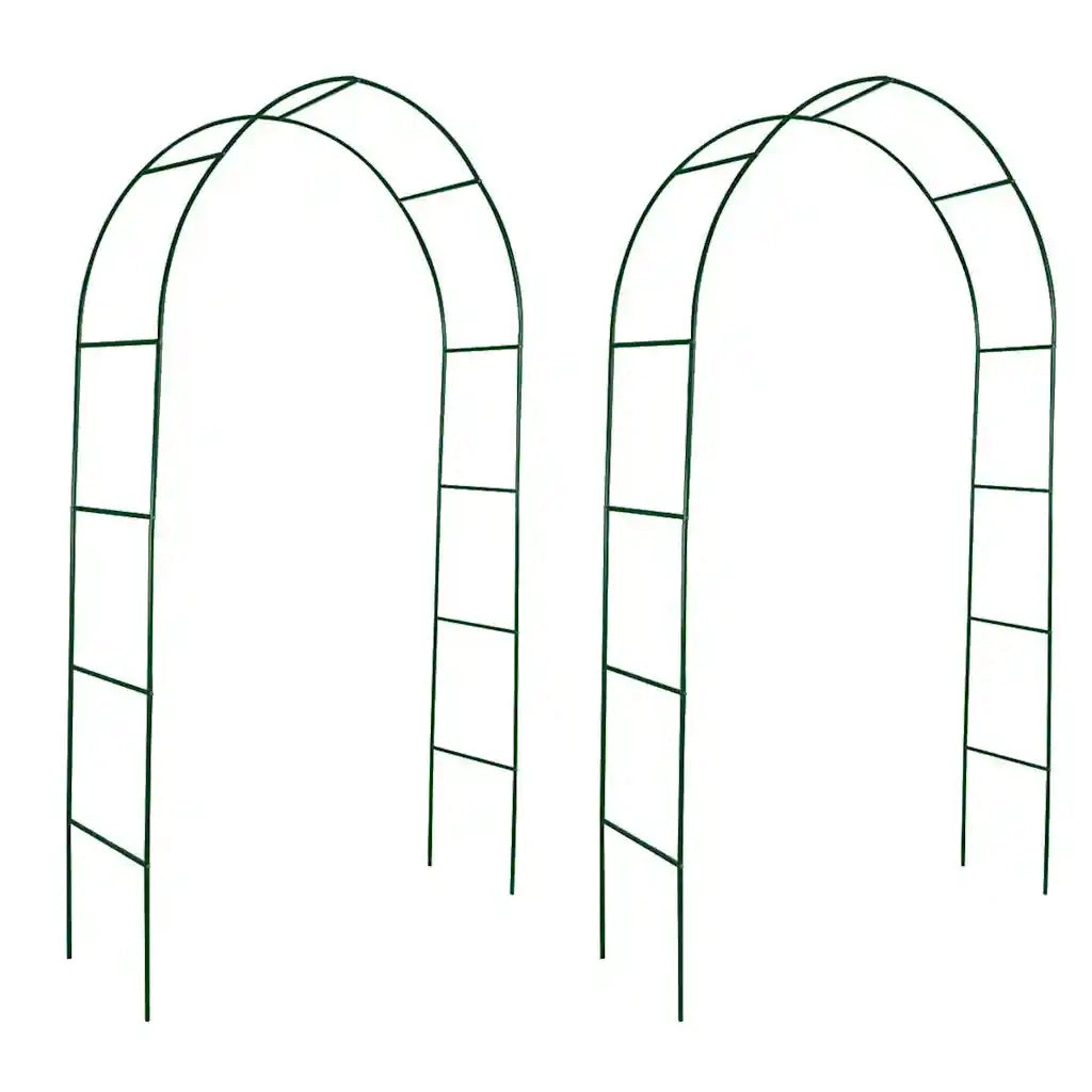 Archi da Giardino 2 pz per Piante Rampicanti CFW1801421