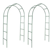 Archi da Giardino 2 pz per Piante Rampicanti CFW1801421
