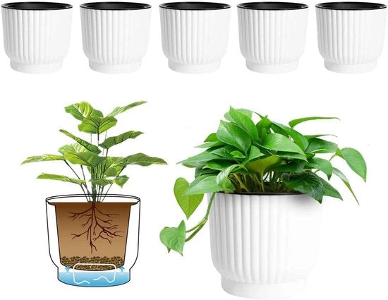 Contenitore di Pianta Self-Sigillante in Plastica con Stoccaggio Acqua a Lungo Termine - Set di 6 - Grande Dimensione - Bianco