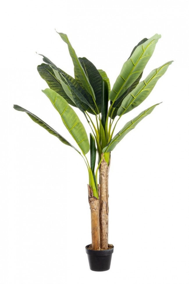 Set 2 Piante Artificiali di Banano 135 cm in Plastica con Vasi Verde