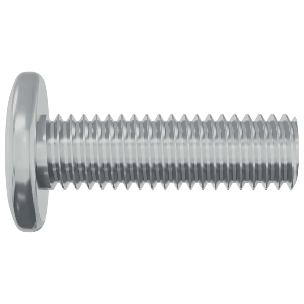 Vite 12 pz Argento 8 x 25 mm Acciaio CFW3049950