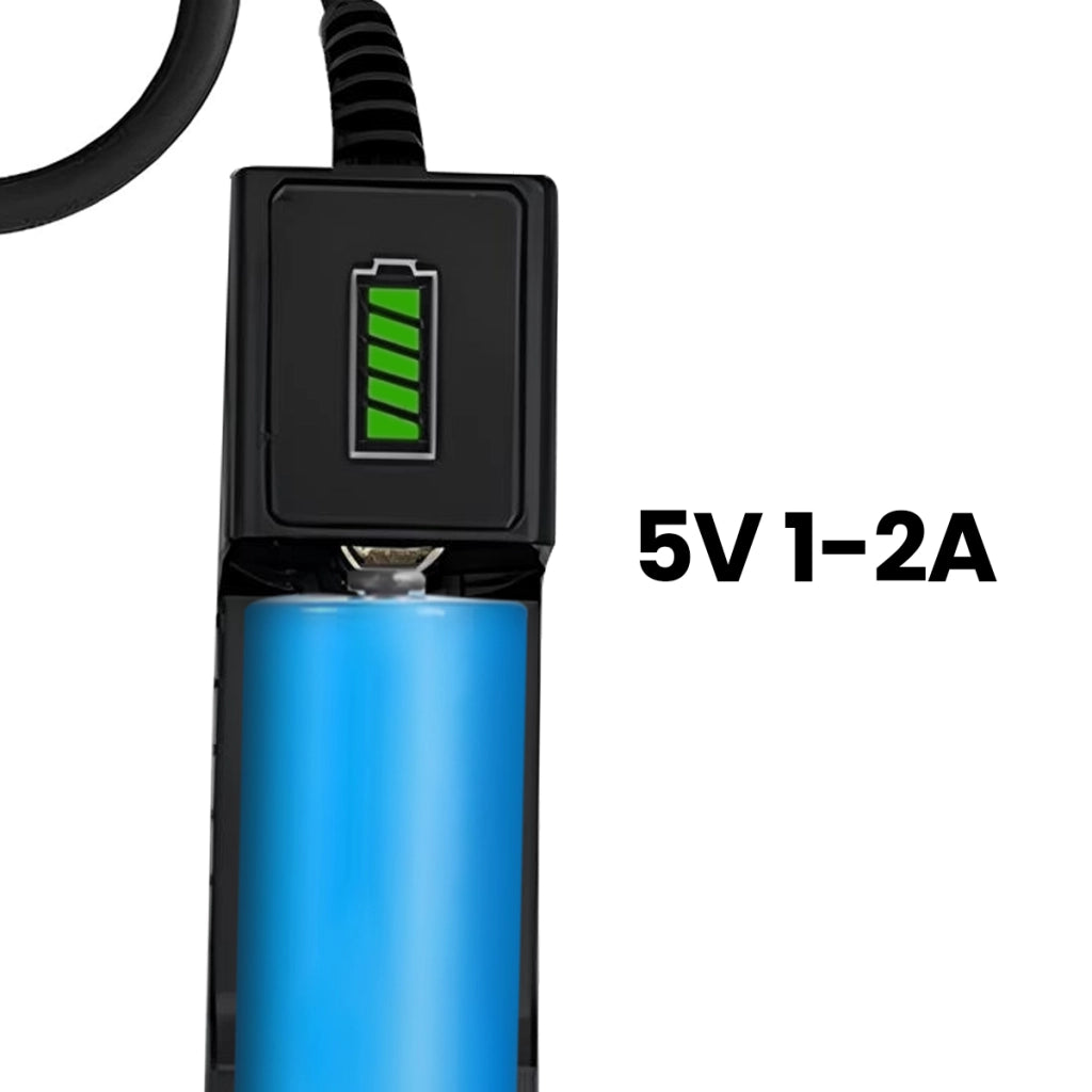 Caricatore universale per batterie cilindriche USB 2A con indicatore 4,2V Nero Avizar