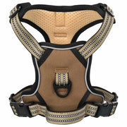 Pettorina Cani con Guinzaglio e Collare Regolabile Marrone L CFW1438214