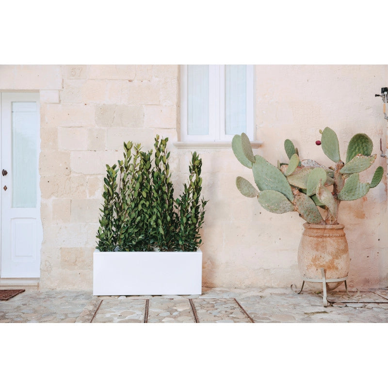 Vaso Fioriera moderna di design 100x40 H40 in polimero bianco resistente per interno ed esterno - Made in Italy - Monacis