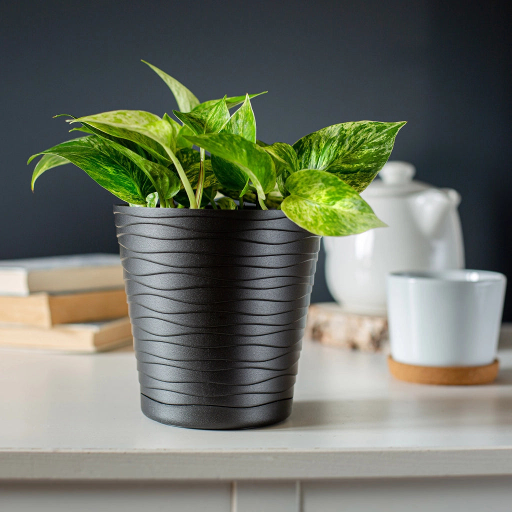 Vaso da fiori KADAX da 11 cm, con coperchio in plastica e supporto.