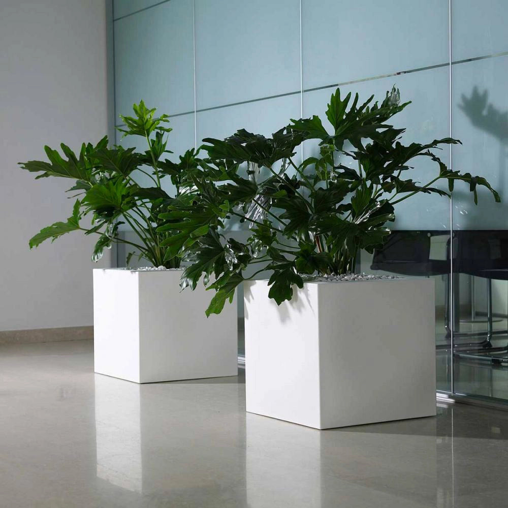 Vaso 50x50 cm in Resina Arkema Iris Vase Bianco