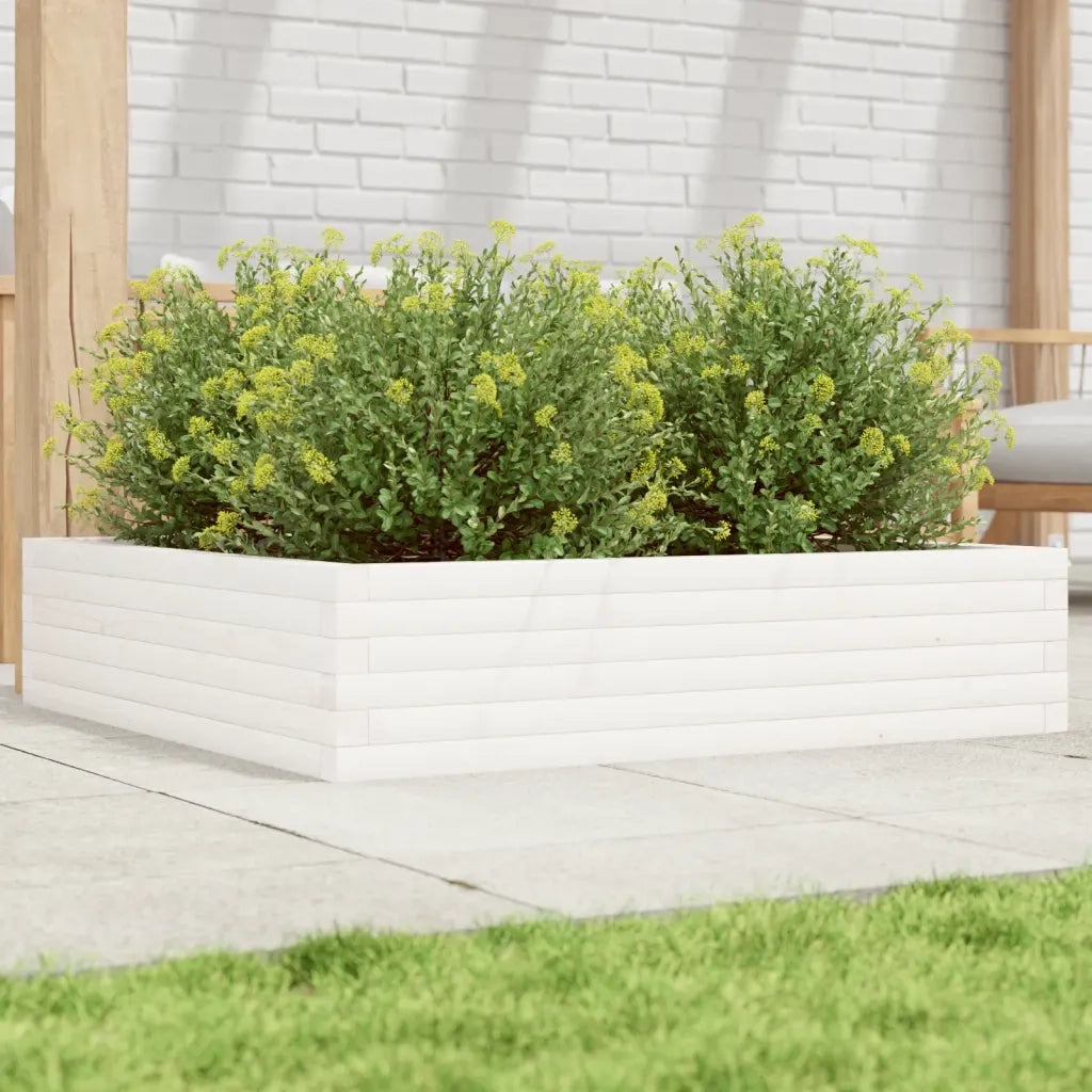 Fioriera da Giardino-Vaso da Esterno Bianca 100x100x23 cm Legno Massello Pino