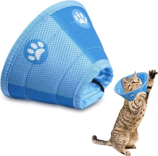 Cintura per gatto - Cintura per gatto - Cintura gatto - Protezione cintura gatto - Cintura gatto operativa