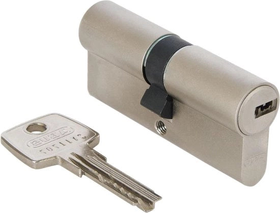 Cilindro di Profilo con Chiave - D6Xnp 30/30, 5 Chiavi 48297