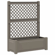 Vaso Grande con Direzione Grigio 99,5 x 43 x 133,5 cm PP CFW9695166
