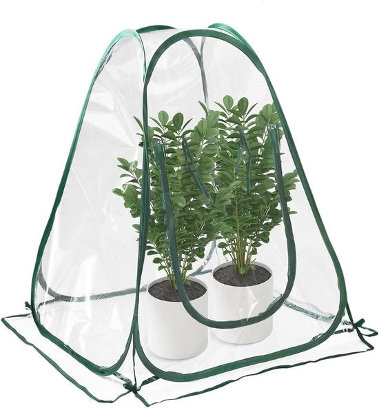 Tenda invernale per piante - Mini serra chiusa a zip per protezione invernale (70 x 70 x 80 cm)