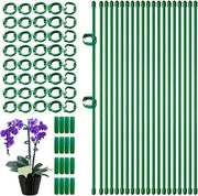 Supporto per piante con clip e tubo di connessione per orchidee, rose, pomodori - 20 pezzi 30 cm