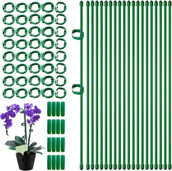 Supporto per piante con clip e tubo di connessione per orchidee, rose, pomodori - 20 pezzi 30 cm