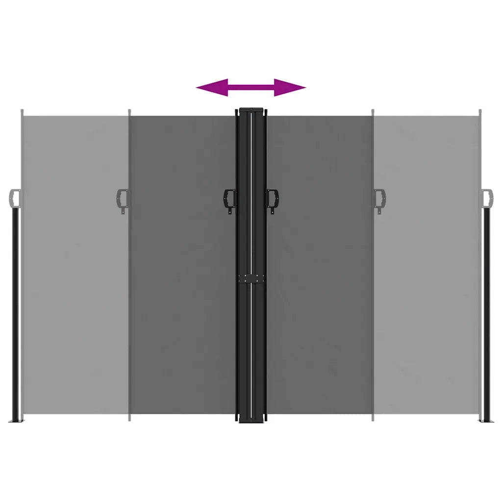 Tenda da Sole Laterale Retrattile Antracite 220x600 cm 4004673