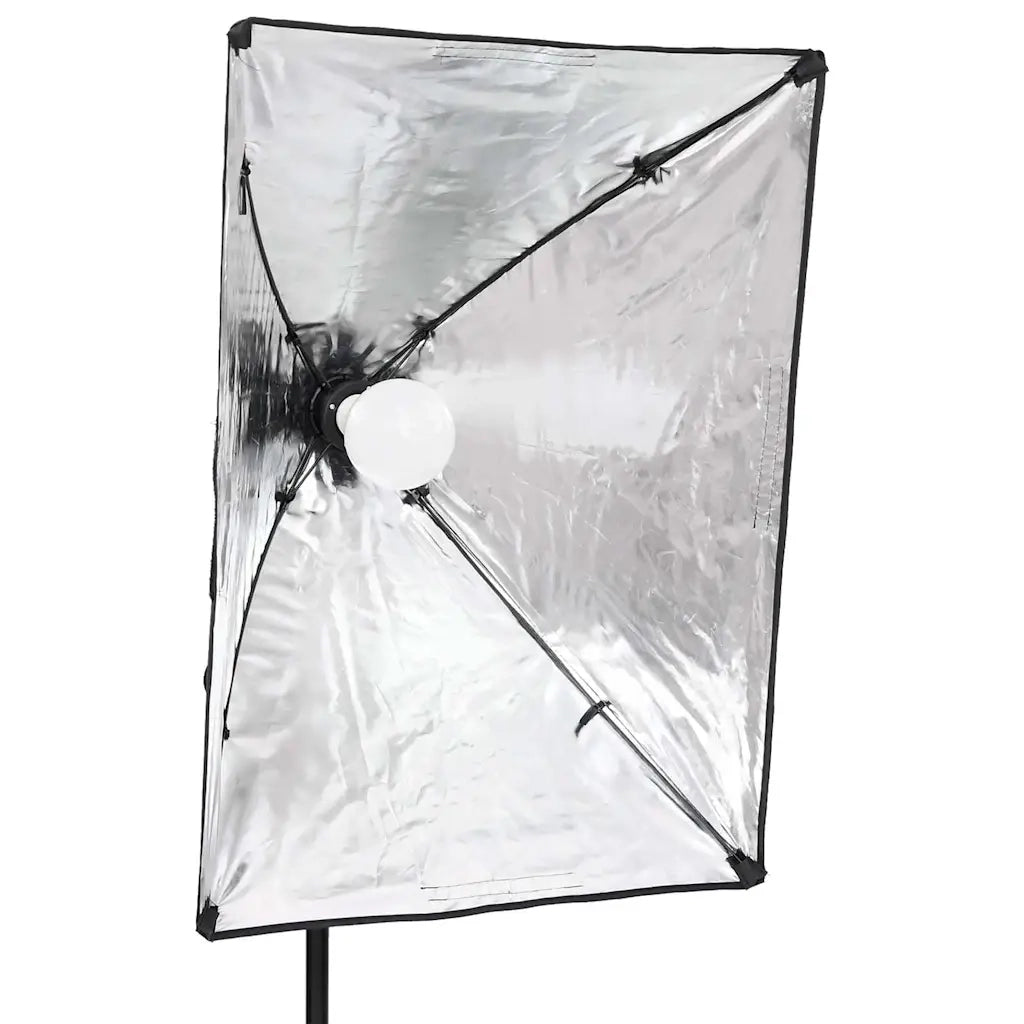 Luci Professionali da Studio 2 pz 40x60 cm 190243