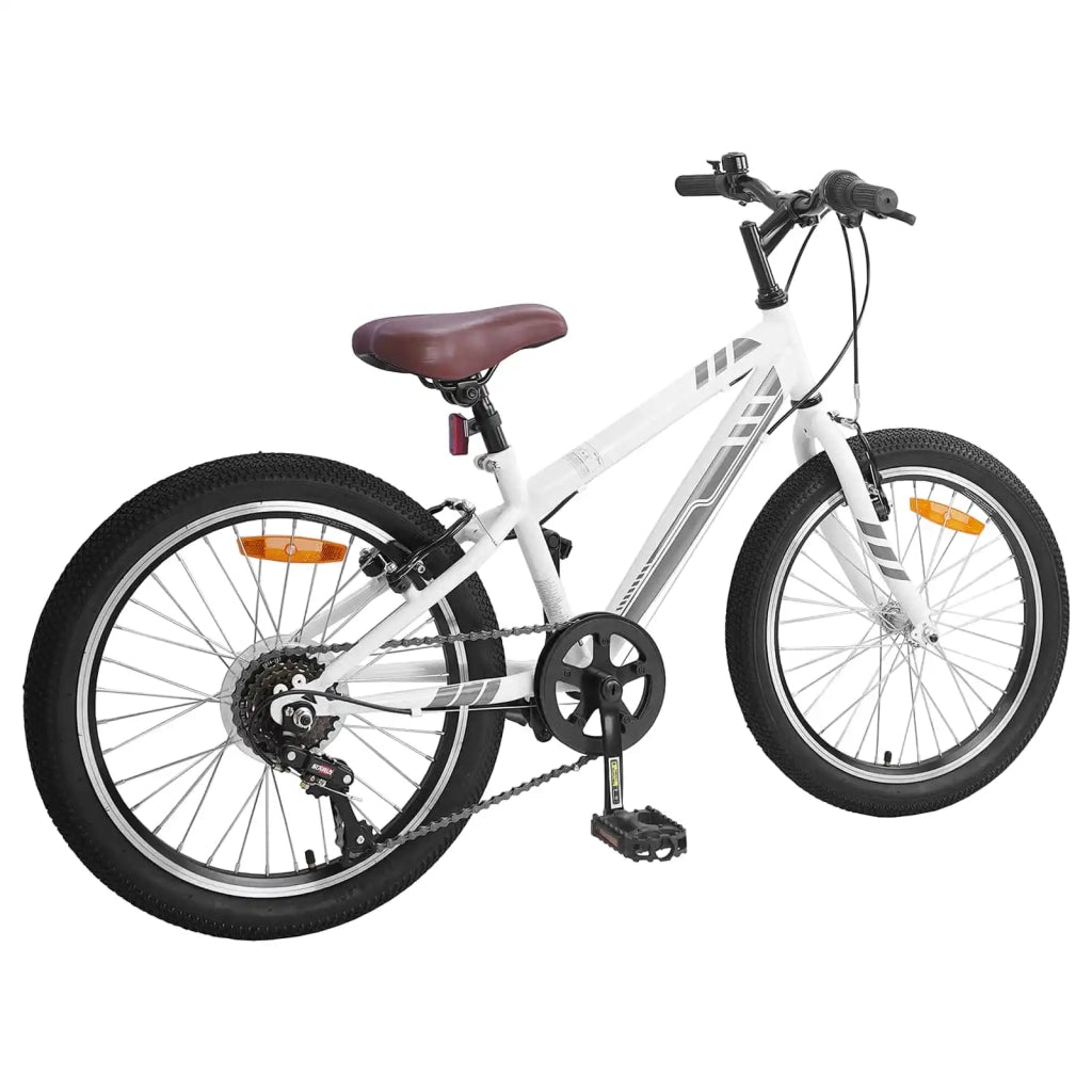 Mountain Bike 24 Pollici 6-Speed per bambini dai 8 ai 12 anni