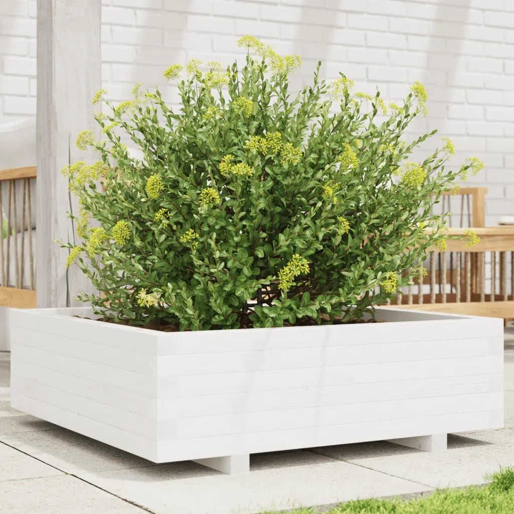 Fioriera da Giardino-Vaso da Esterno Bianca 80x80x26,5cm Legno Massello di Pino