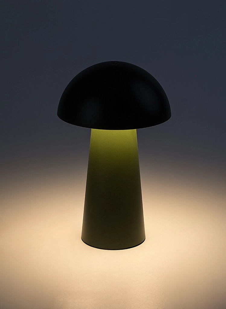 Lampada da tavolo LED portatile verde Mireo Rabalux