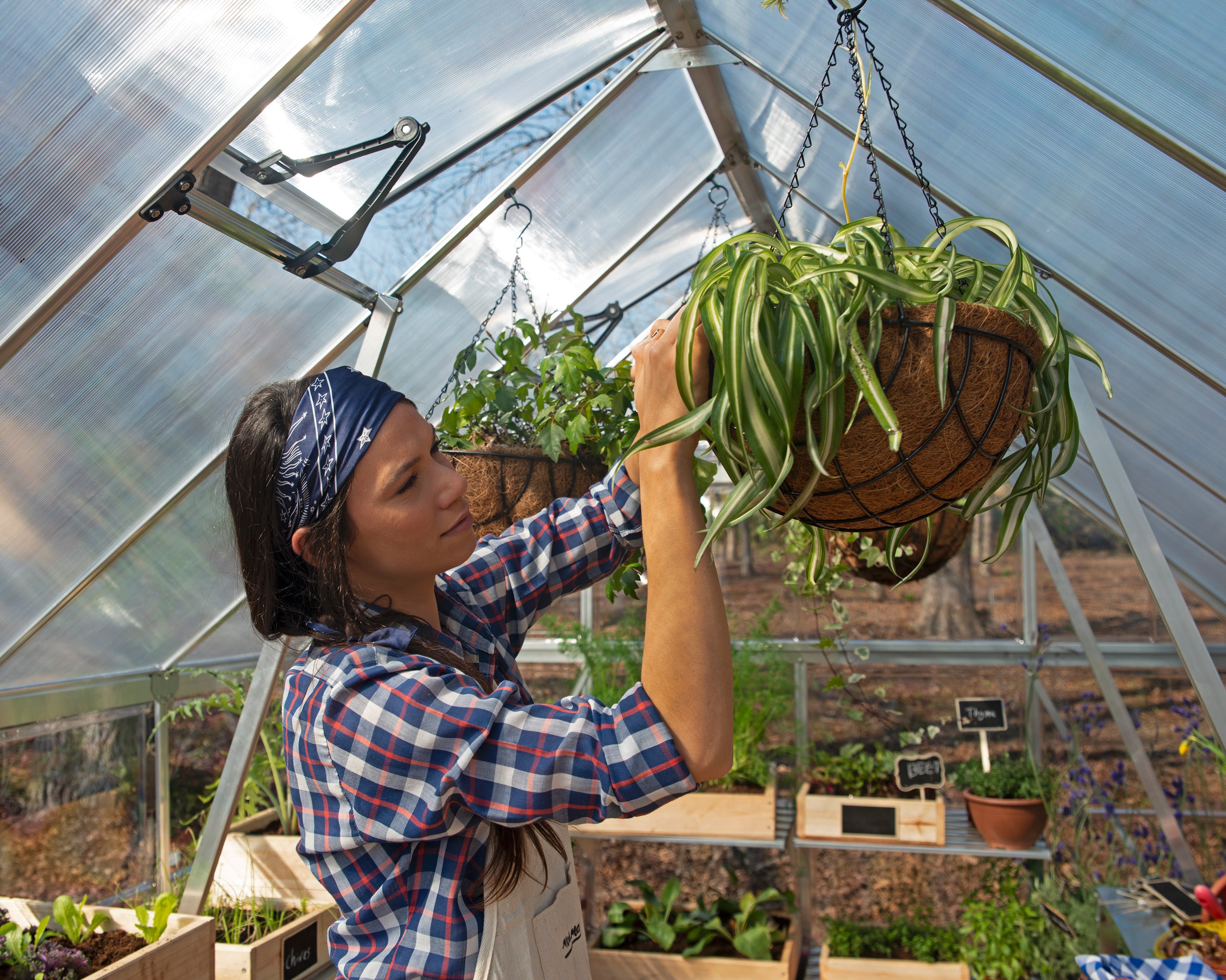 Serra Da Giardino in Policarbonato Balance Ibrida  487X244X229 cm Argento