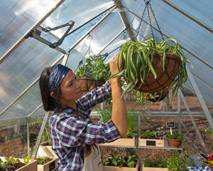 Serra Da Giardino in Policarbonato Balance Ibrida  487X244X229 cm Argento