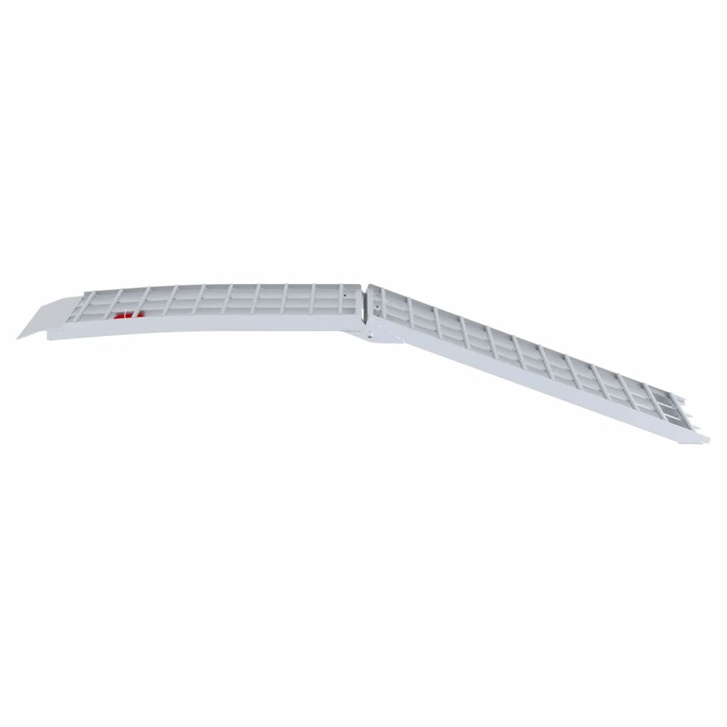 Rampetta per moto 680 kg Argento 680 kg Alluminio CFW2775868