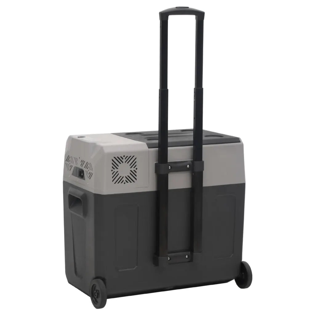 Borsa Frigo con Ruote Adattatore Nera Grigia 40 L Polipropilene CFW9714882